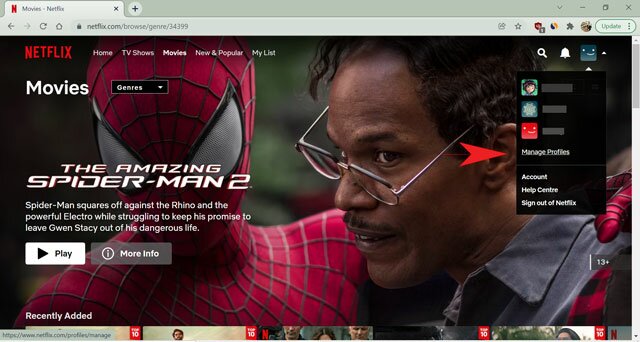 gérer l'option de profil sur netflix pour le navigateur