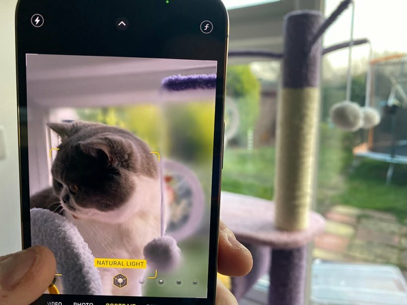 Photo de chat prise avec l'iPhone 13 Pro